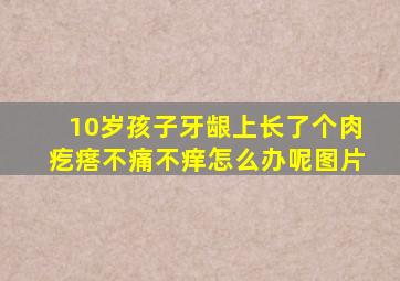 10岁孩子牙龈上长了个肉疙瘩不痛不痒怎么办呢图片