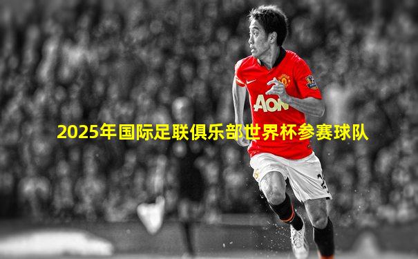 2025年国际足联俱乐部世界杯参赛球队