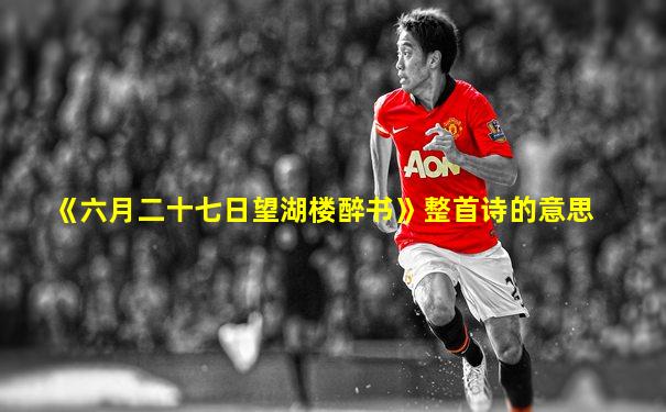 《六月二十七日望湖楼醉书》整首诗的意思