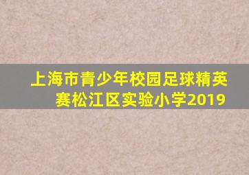 上海市青少年校园足球精英赛松江区实验小学2019
