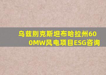 乌兹别克斯坦布哈拉州600MW风电项目ESG咨询