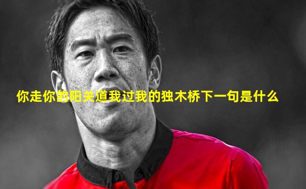 你走你的阳关道我过我的独木桥下一句是什么