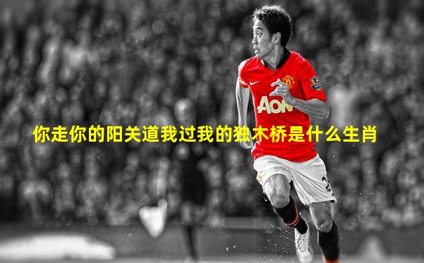 你走你的阳关道我过我的独木桥是什么生肖