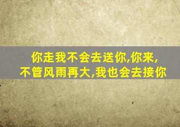 你走我不会去送你,你来,不管风雨再大,我也会去接你