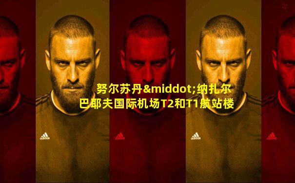 努尔苏丹·纳扎尔巴耶夫国际机场T2和T1航站楼的距离