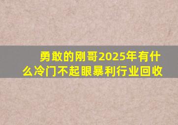 勇敢的刚哥2025年有什么冷门不起眼暴利行业回收