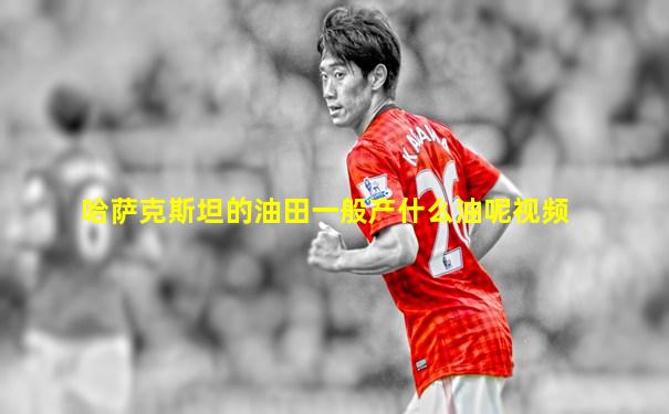 哈萨克斯坦的油田一般产什么油呢视频
