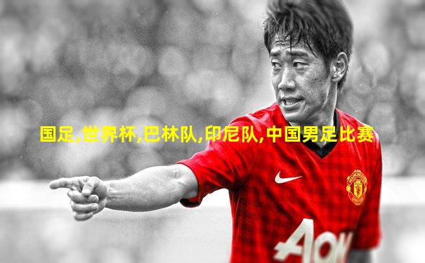 国足,世界杯,巴林队,印尼队,中国男足比赛