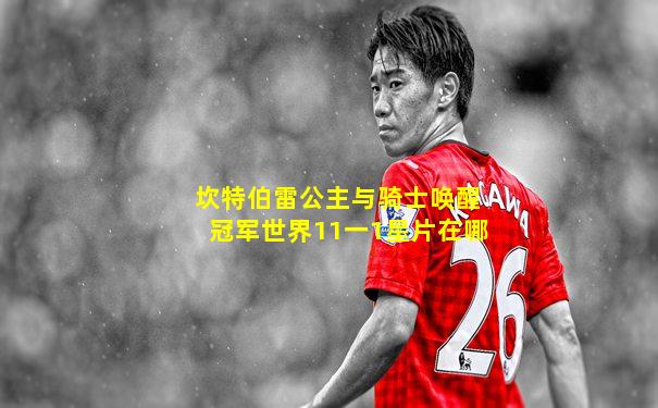 坎特伯雷公主与骑士唤醒冠军世界11一1星片在哪