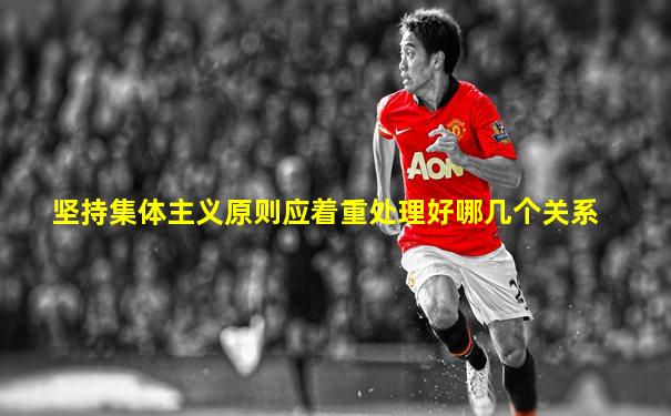 坚持集体主义原则应着重处理好哪几个关系
