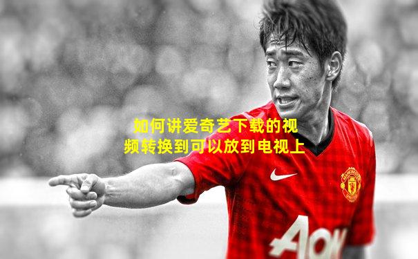 如何讲爱奇艺下载的视频转换到可以放到电视上