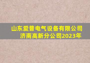 山东爱普电气设备有限公司济南高新分公司2023年