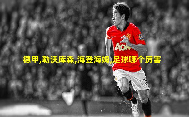 德甲,勒沃库森,海登海姆,足球哪个厉害