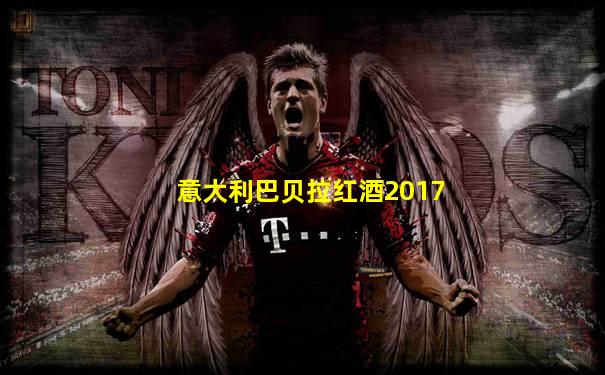 意大利巴贝拉红酒2017