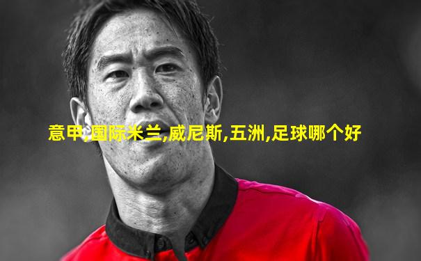 意甲,国际米兰,威尼斯,五洲,足球哪个好