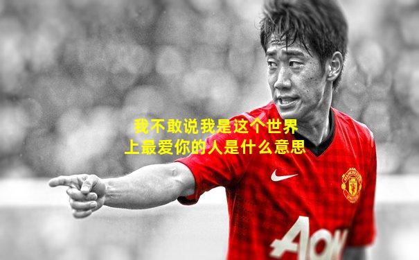 我不敢说我是这个世界上最爱你的人是什么意思