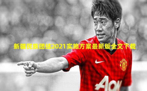 新疆民族团结2021实施方案最新版全文下载