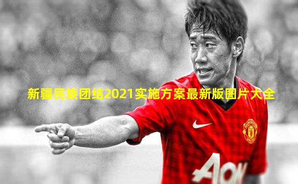 新疆民族团结2021实施方案最新版图片大全