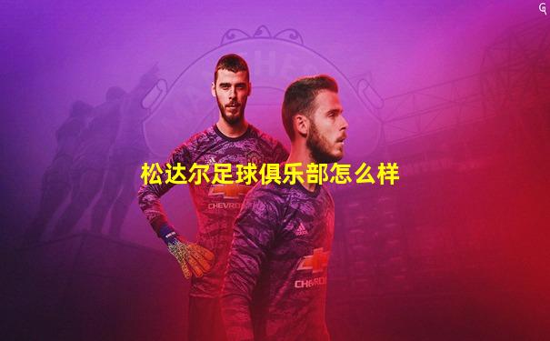 松达尔足球俱乐部怎么样