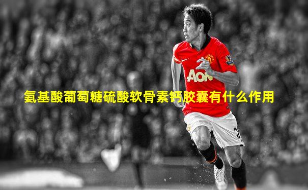 氨基酸葡萄糖硫酸软骨素钙胶囊有什么作用