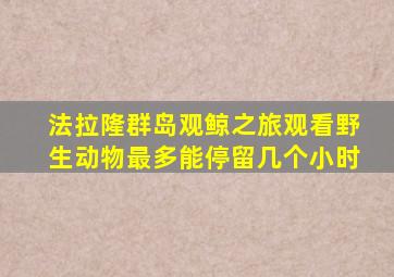 法拉隆群岛观鲸之旅观看野生动物最多能停留几个小时