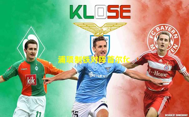 浦项制铁对阵首尔fc