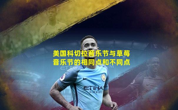 美国科切拉音乐节与草莓音乐节的相同点和不同点