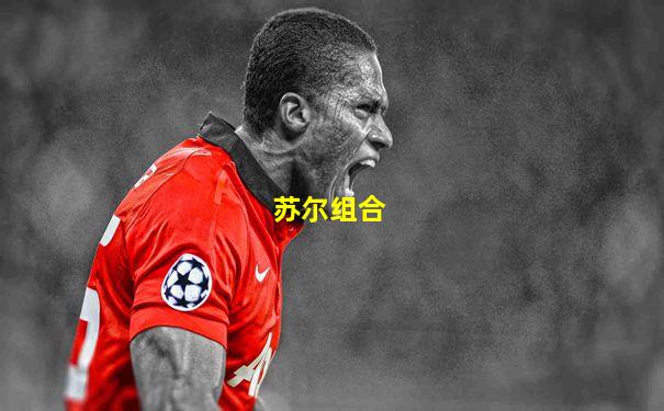 苏尔组合