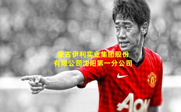 蒙古伊利实业集团股份有限公司沈阳第一分公司