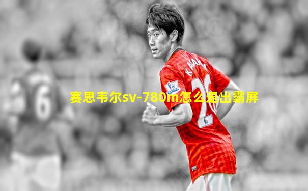 赛思韦尔sv-780m怎么退出霸屏