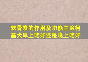 软骨素的作用及功能主治柯基犬早上吃好还是晚上吃好