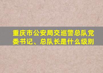 重庆市公安局交巡警总队党委书记、总队长是什么级别
