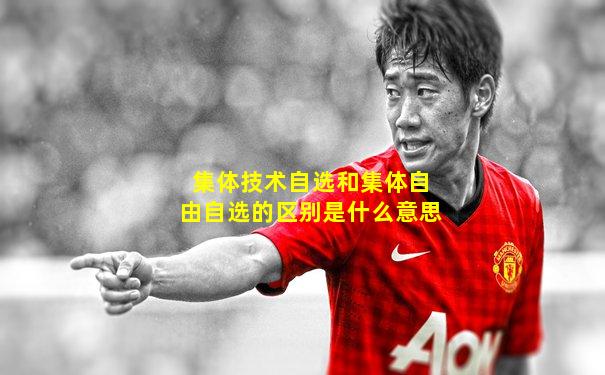 集体技术自选和集体自由自选的区别是什么意思