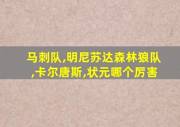 马刺队,明尼苏达森林狼队,卡尔唐斯,状元哪个厉害